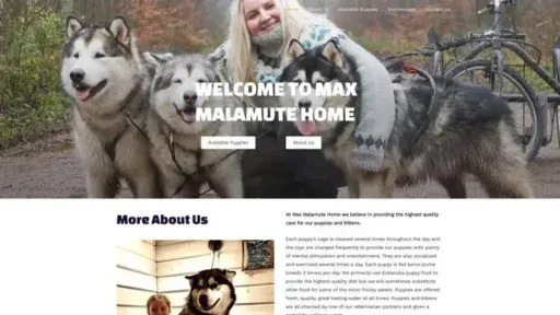 Screenshot of