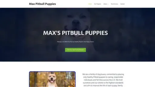 Screenshot of