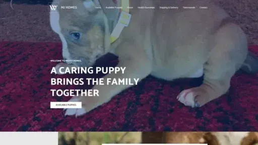 Screenshot of