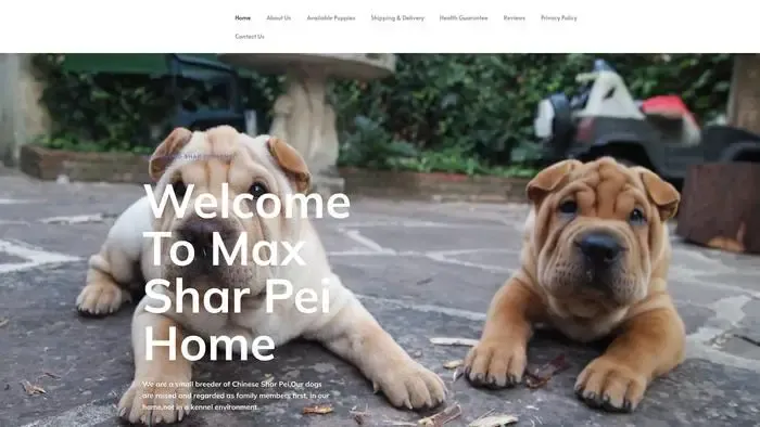 Screenshot of