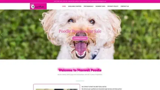 Screenshot of