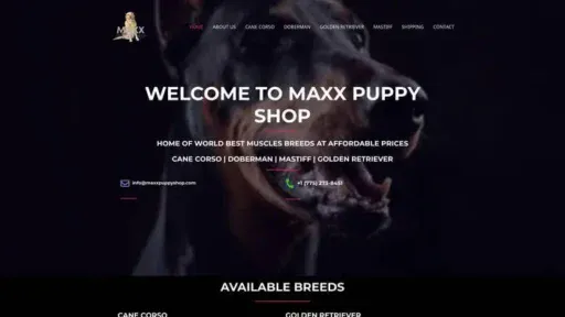 Screenshot of