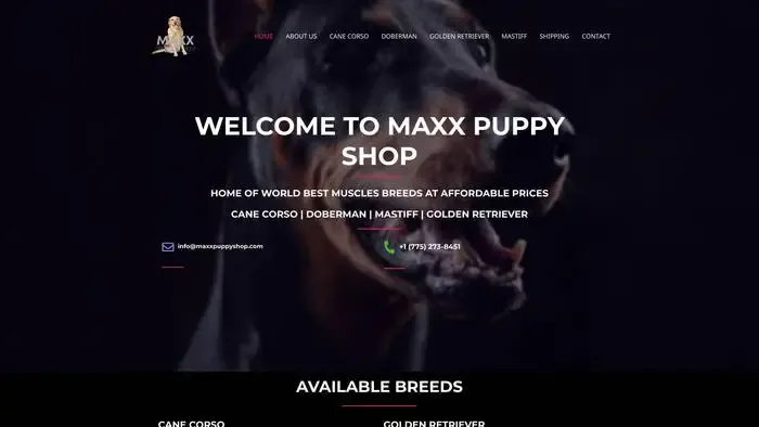 Screenshot of