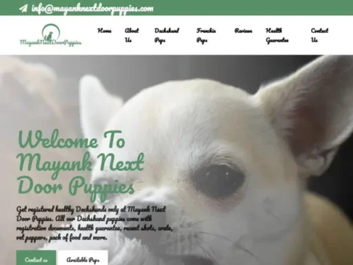 Screenshot of