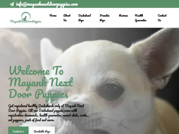 Screenshot of