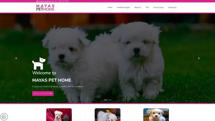Screenshot of