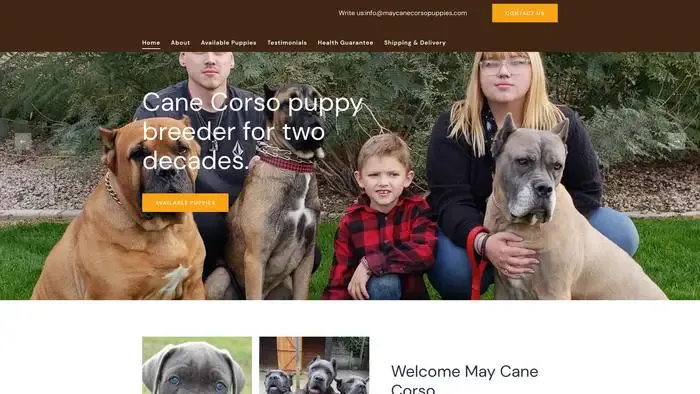 Screenshot of
