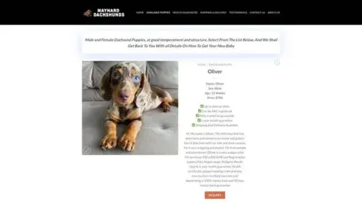 Screenshot of