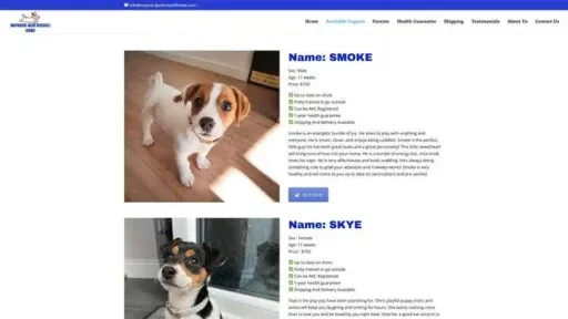 Screenshot of