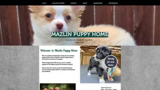 Screenshot of