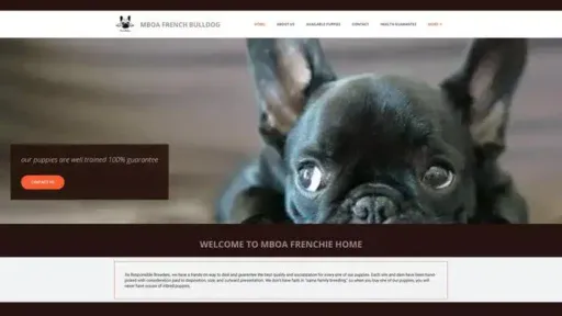 Screenshot of