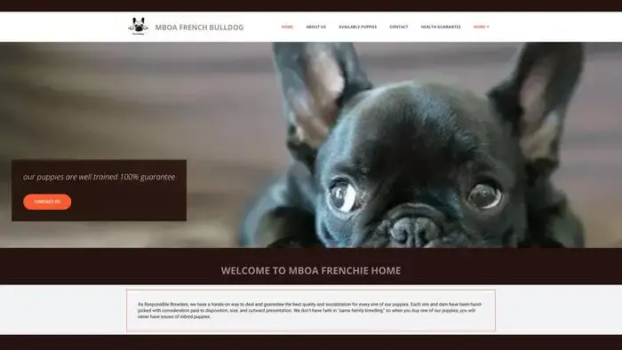 Screenshot of