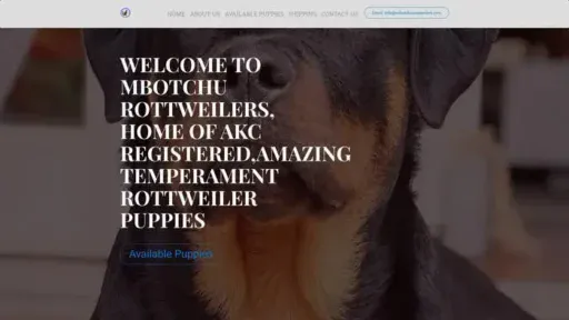 Screenshot of