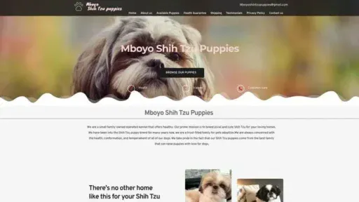 Screenshot of