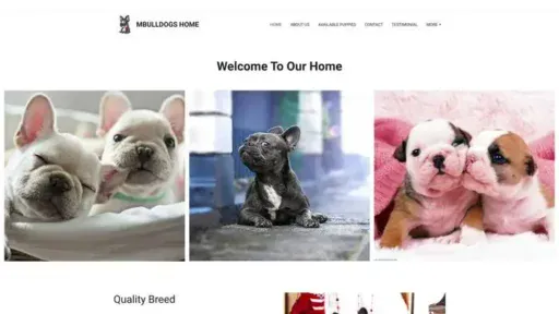 Screenshot of