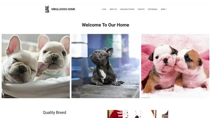 Screenshot of