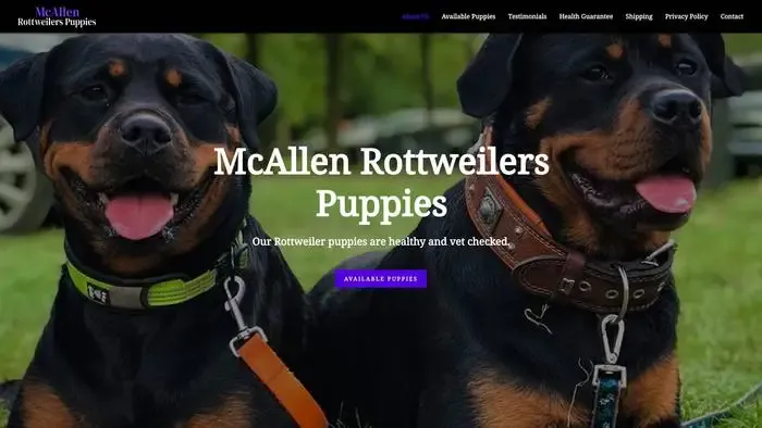 Screenshot of