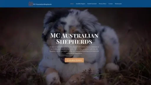 Screenshot of