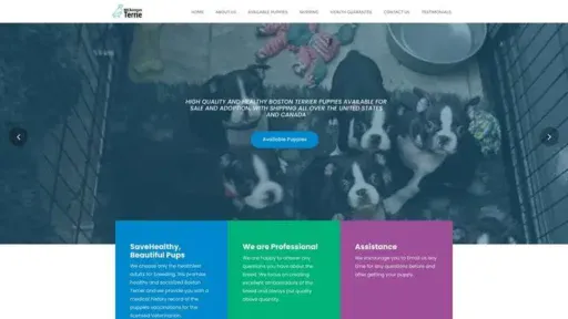 Screenshot of