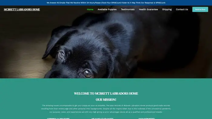 Screenshot of