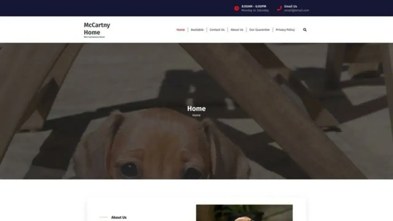 Mccartneydachshund