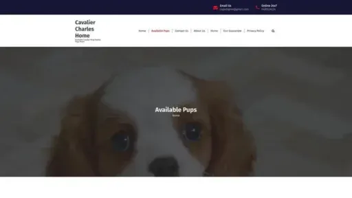 Screenshot of