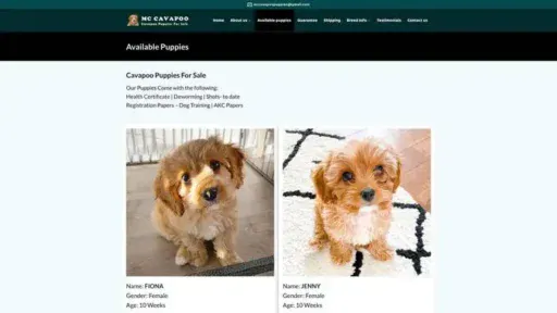 Screenshot of
