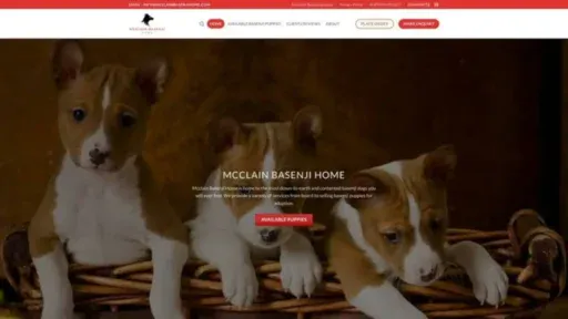 Screenshot of||