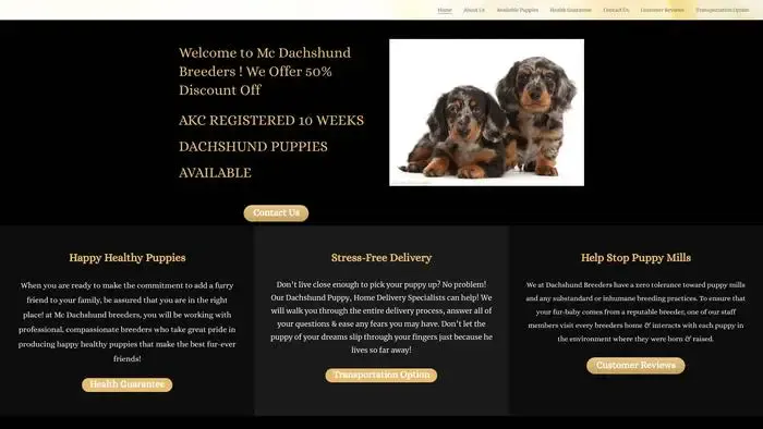 Screenshot of