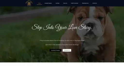 Screenshot of