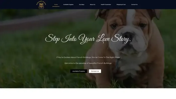 Screenshot of