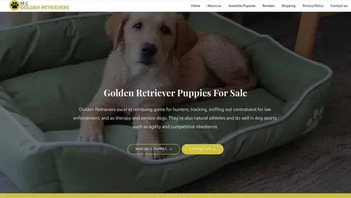 Screenshot of