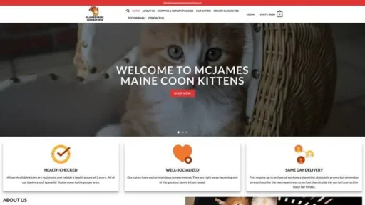 Screenshot of