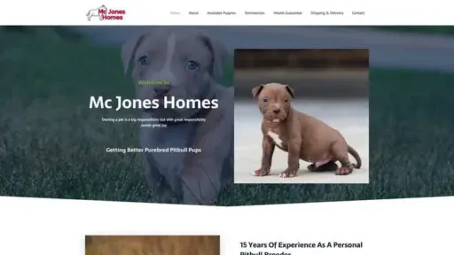 Screenshot of