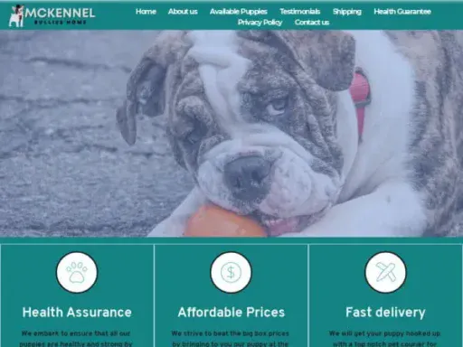 Screenshot of