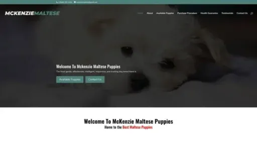 Screenshot of