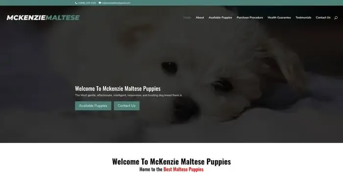 Screenshot of