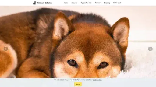 Screenshot of