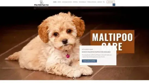 Screenshot of