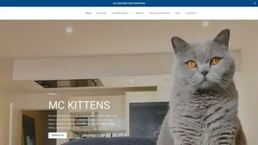 Screenshot of||