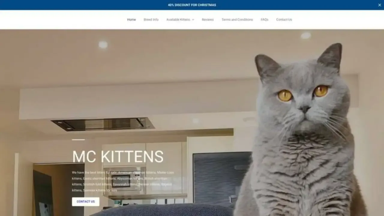 Screenshot of||