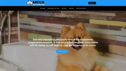 Screenshot of