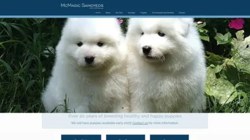 Screenshot of||