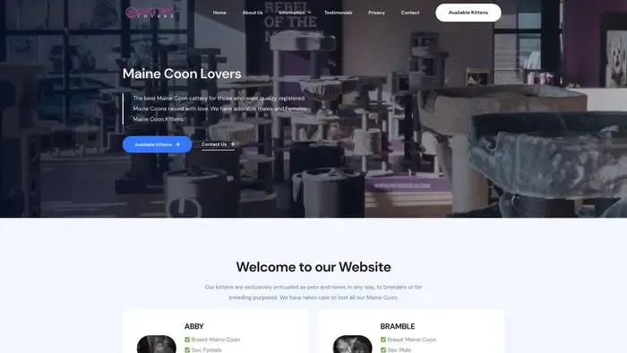 Screenshot of