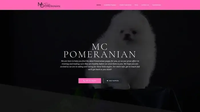 Screenshot of