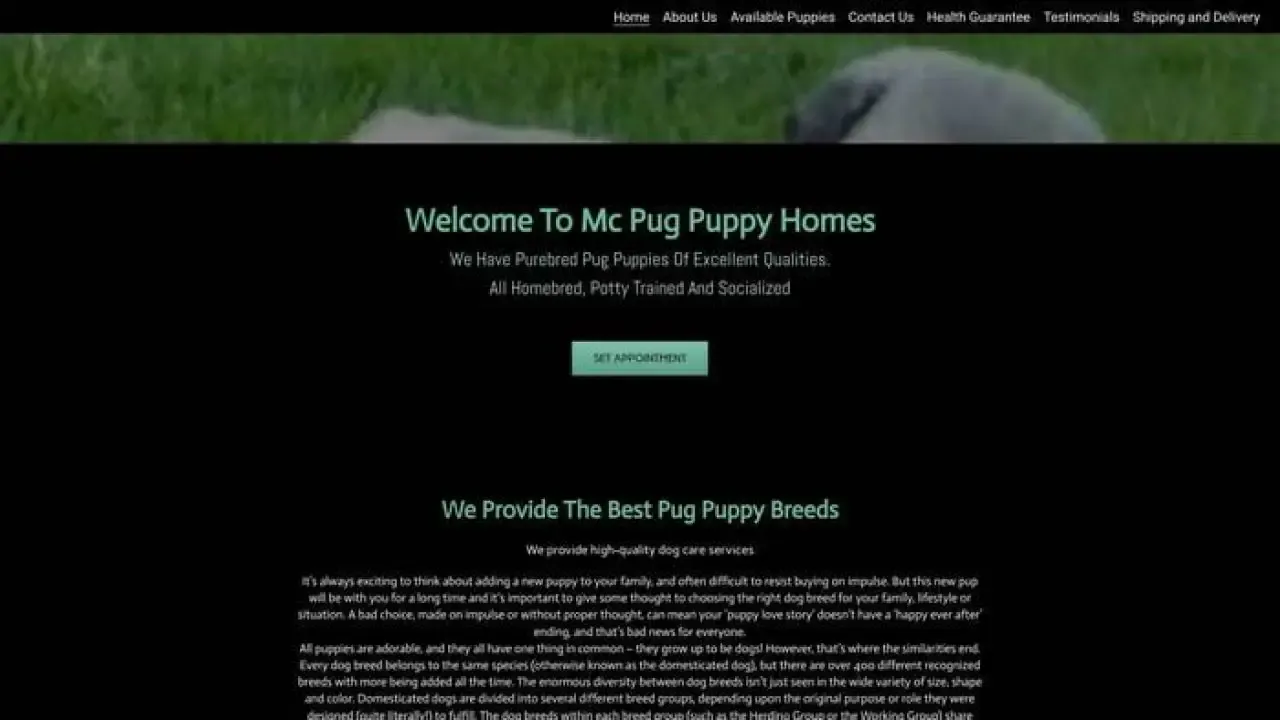Screenshot of||