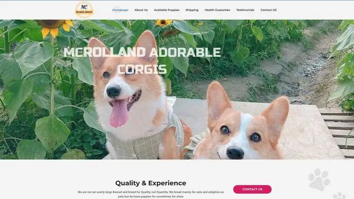 Screenshot of