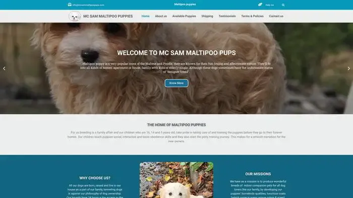 Screenshot of