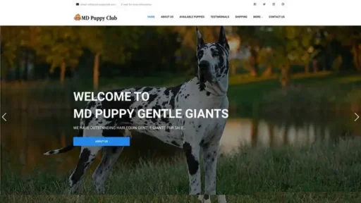 Screenshot of