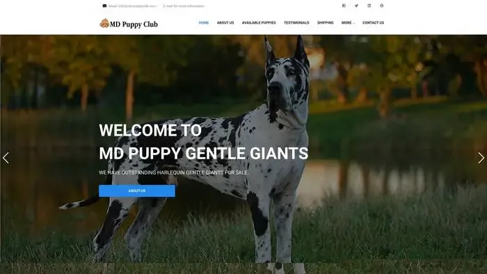 Screenshot of